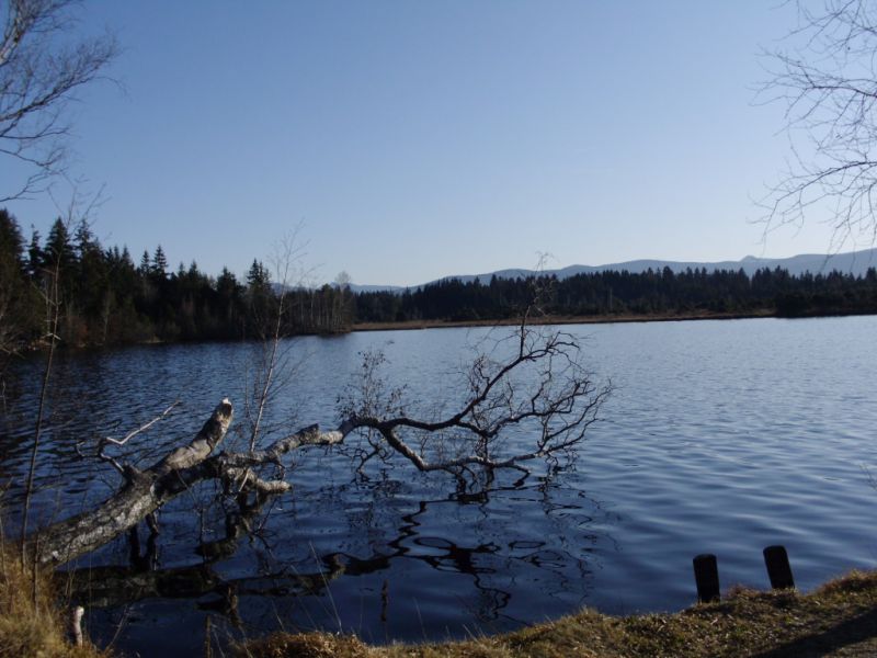 Kirchsee, Sachsenkam