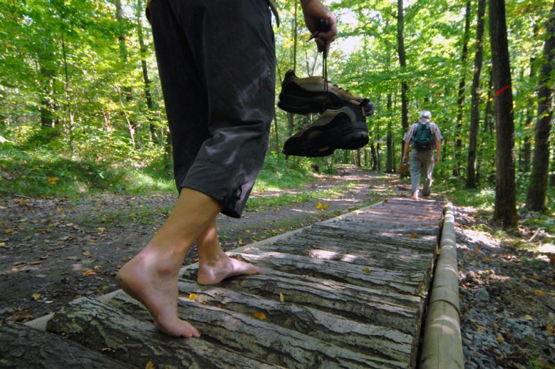 Barfußpfad, Windelsbach