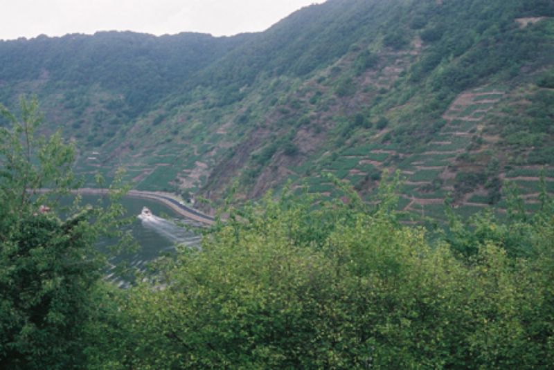 Briederner Schweiz, Cochem