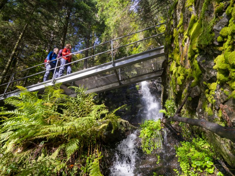 ZweiTälerSteig, Simonswald
