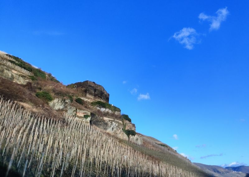 Burgruine Rosenburg, Zeltingen-Rachtig