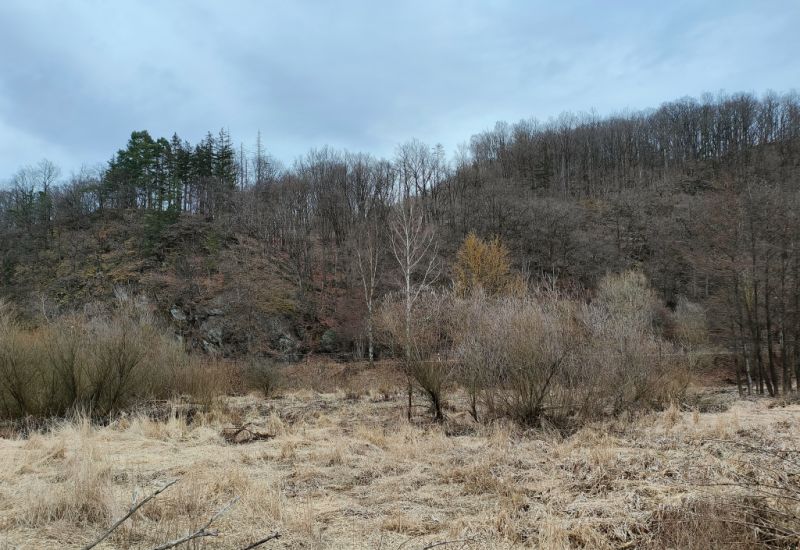 Diemelradweg, Willingen