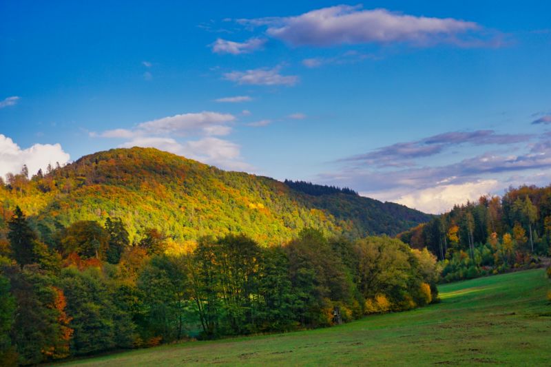 Sackpfeifen, Hatzfeld