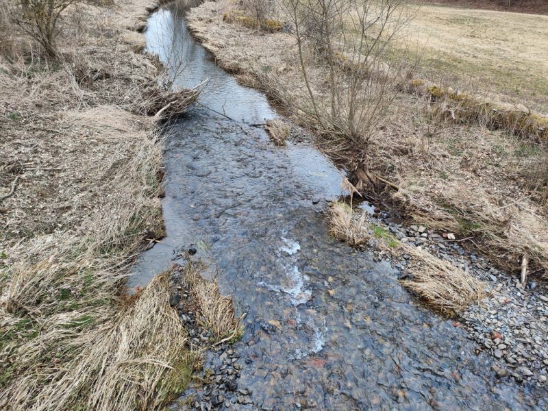 Fluss Diemel, Willingen