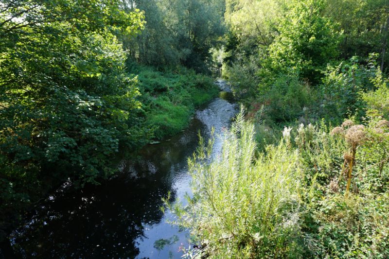 Emmer, Schieder-Schwalenberg