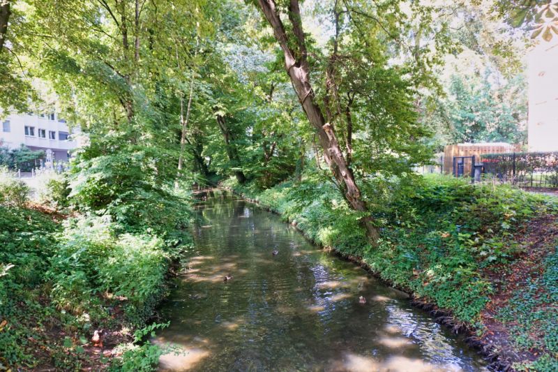 Fluss Hamel, Hameln