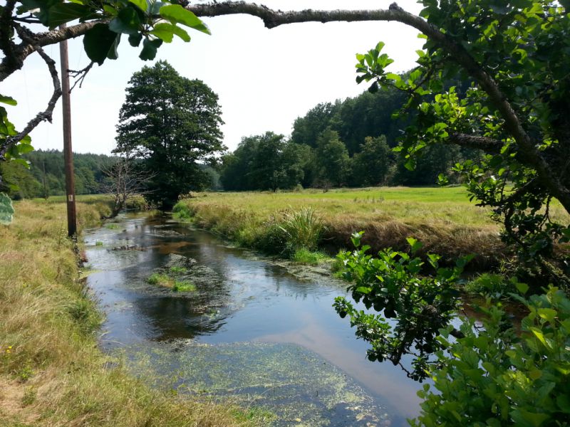 Fluss Jossa (Sinn), Sinntal