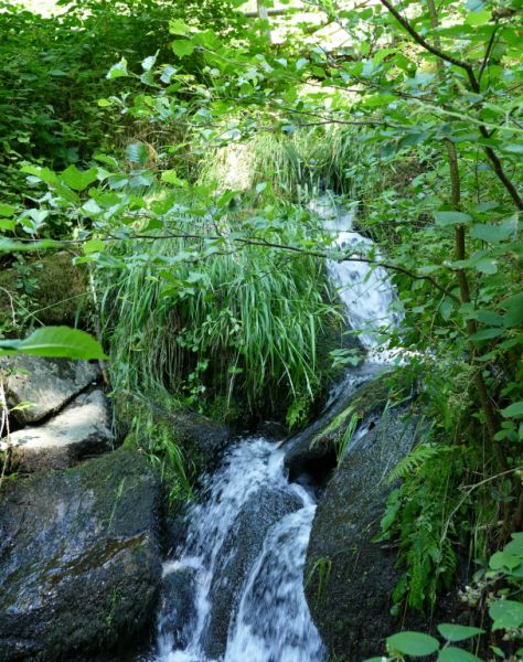 Gaishöll Wasserfälle, Sasbachwalden