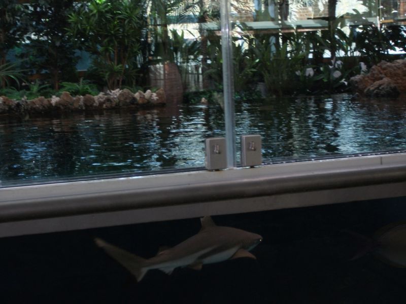 Kulturhistorisches Museum, Stralsund