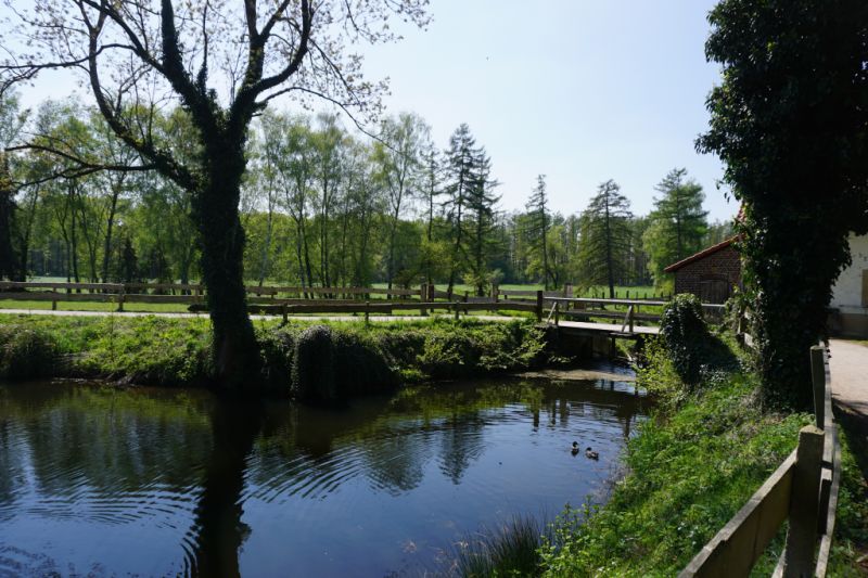 Hühnermoor, Harsewinkel