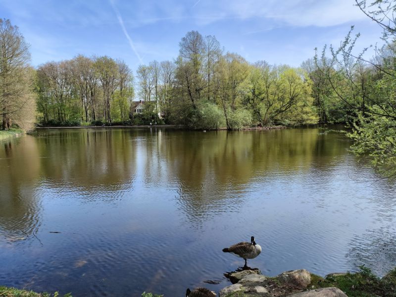 Ibrüggers Teich, Gütersloh