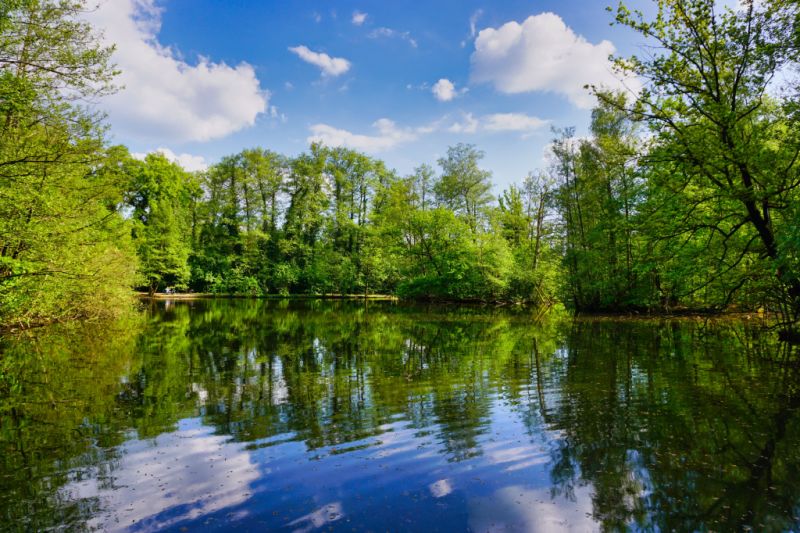 Sammelteich, Schloß Holte-Stukenbrock