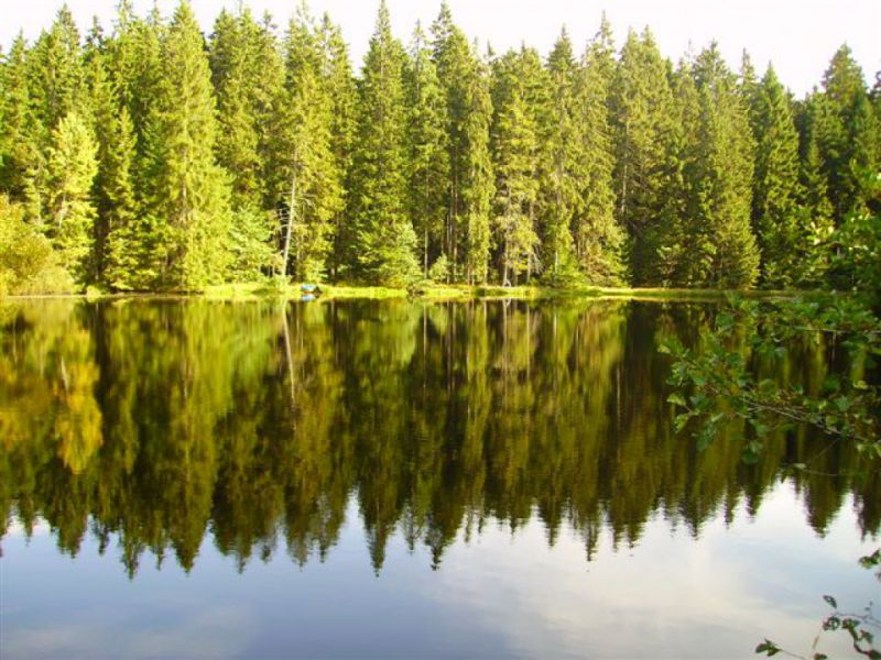 Kreuzbachklause, Haidmühle