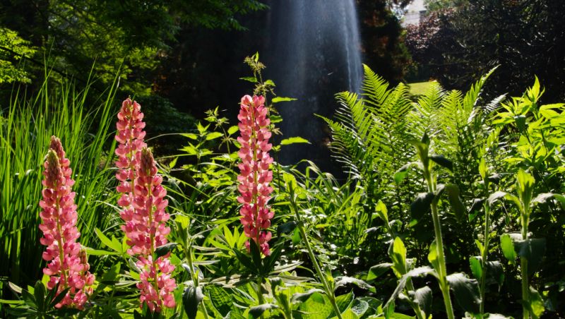 Kurpark, Badenweiler