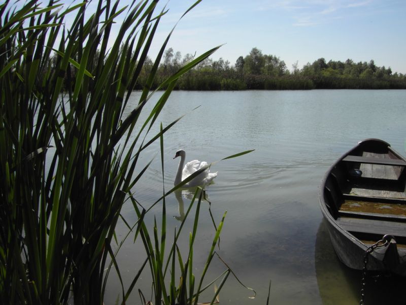 Auen an der Inn, Bad Füssing