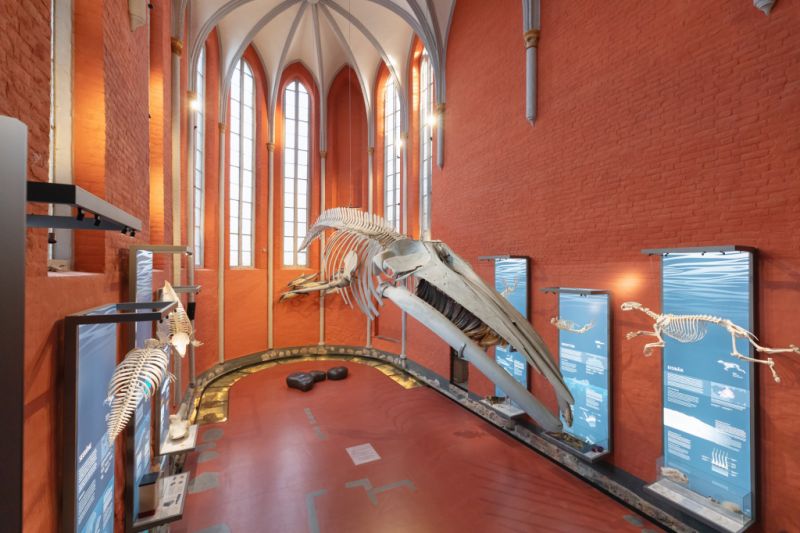 Kulturhistorisches Museum, Stralsund
