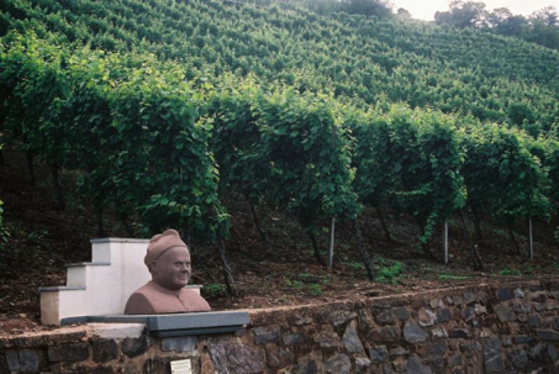 Kulturweg Mesenicher Steinreichskäpp, Cochem