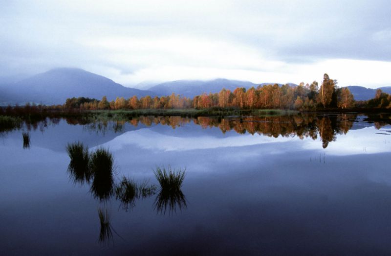 Moorlandschaft, Bad Feilnbach