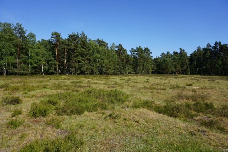 Naturschutzgebiet Moosheide, Schloß Holte-Stukenbrock