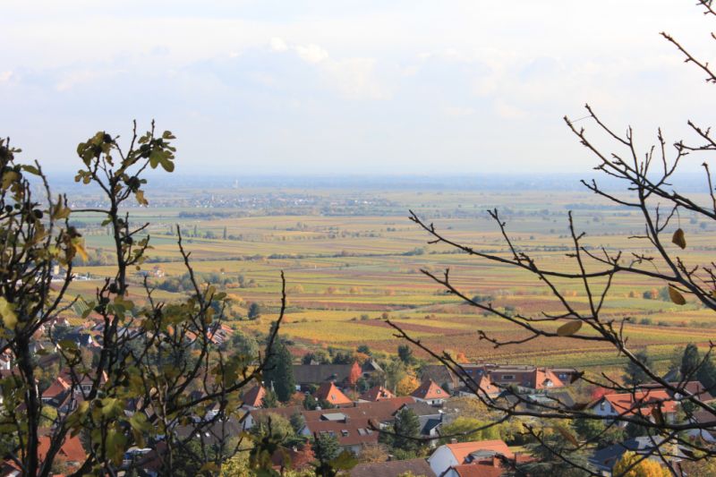 Deutsche Weinstraße, Neustadt (Weinstraße)