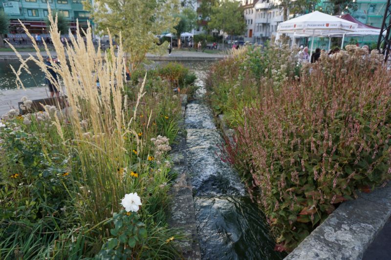 Paderquellen, Paderborn