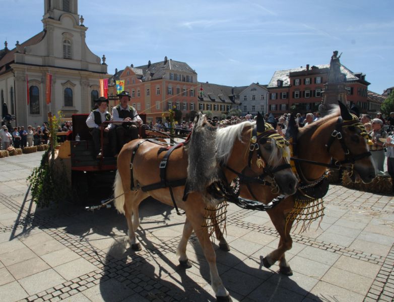 Ludwigsburger Pferdemarkt, Ludwigsburg