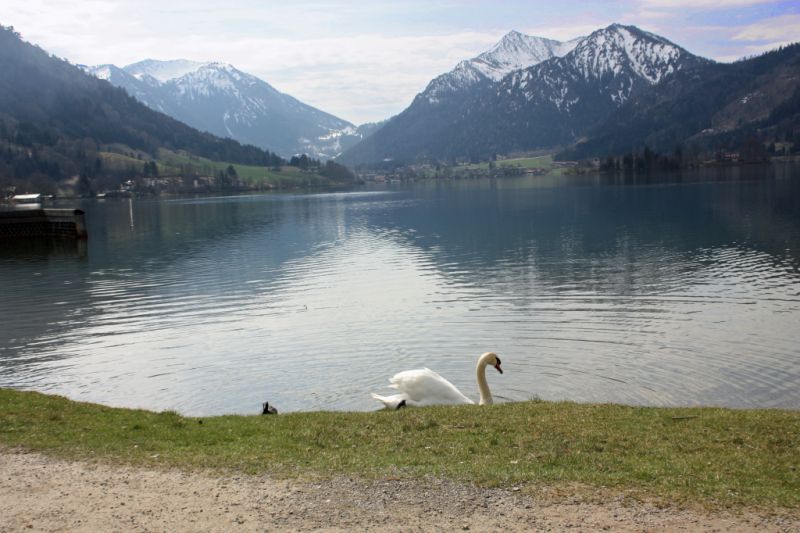 Schliersee