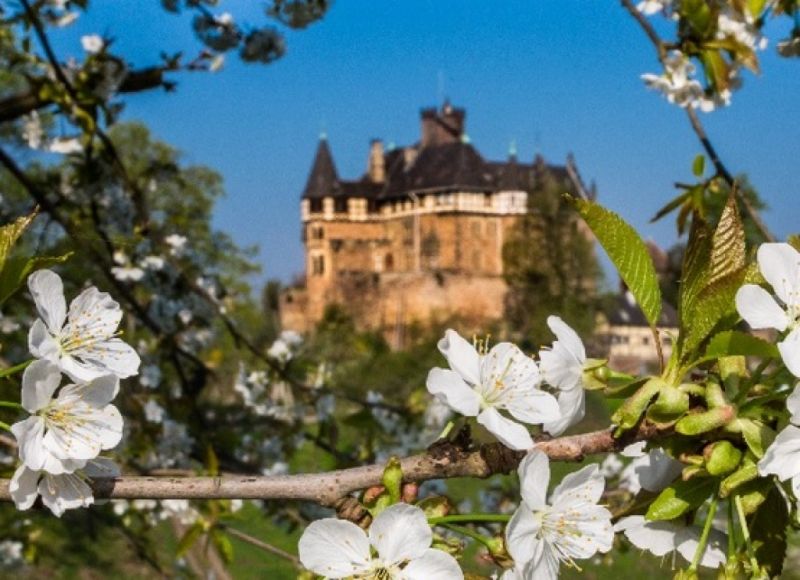 Schloss Berlepsch, Witzenhausen