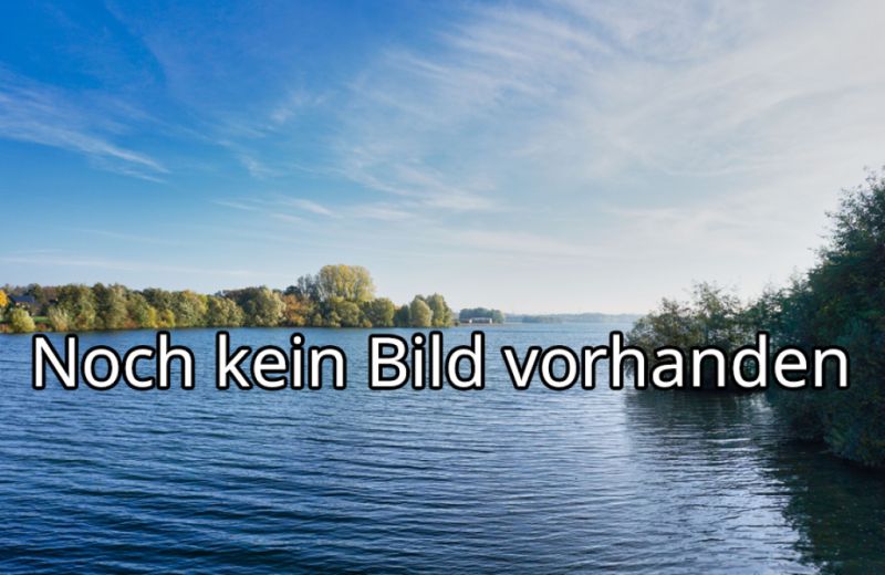 Koppelssechen, Groß-Zimmern