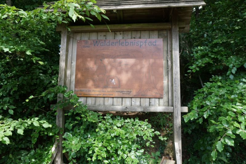 Walderlebnispfad Ascheloh, Halle (Westfalen)