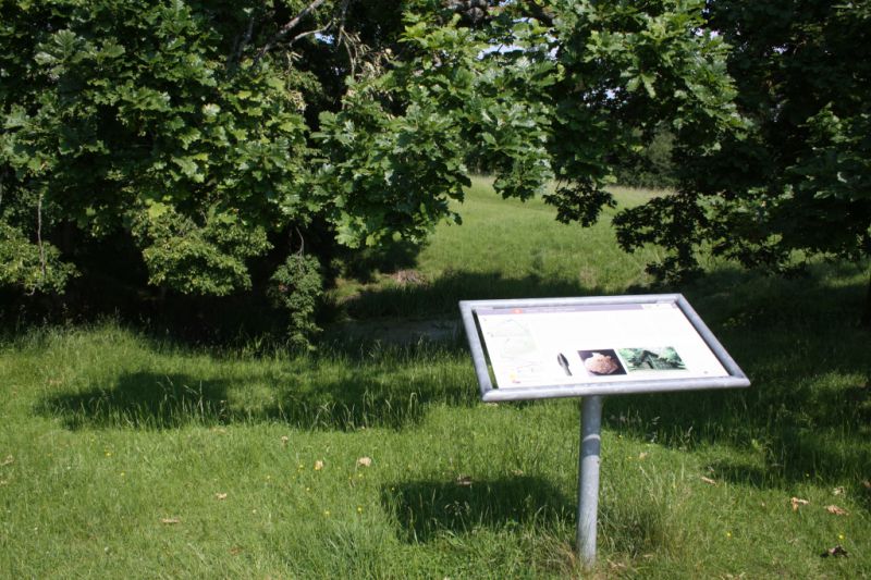 Archäologischer Lehrpfad mit naturwissenschaftlichen Hinweisen, Glauburg