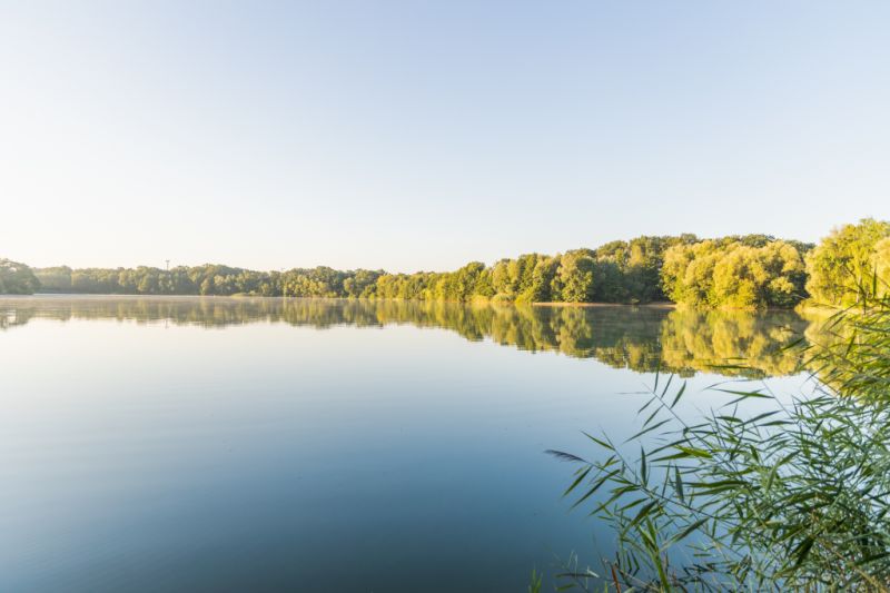 Westeroder See, Greven