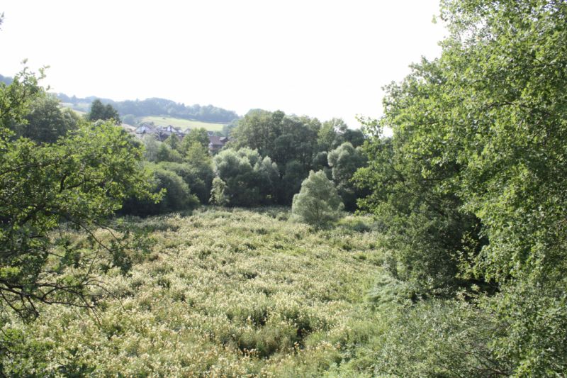 Kräuterwanderungen, Frammersbach