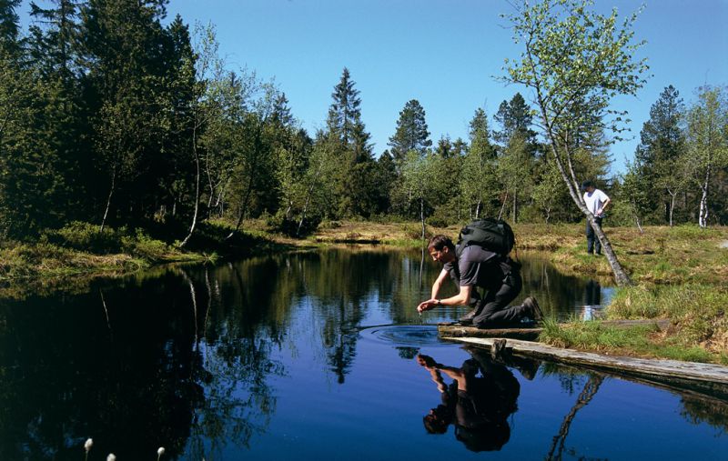 Wildrosenmoos, Oberreute