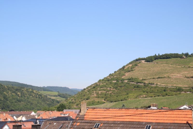 Scharlachberg, Bingen